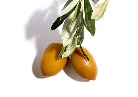 Ингредиенты Garnier Олива